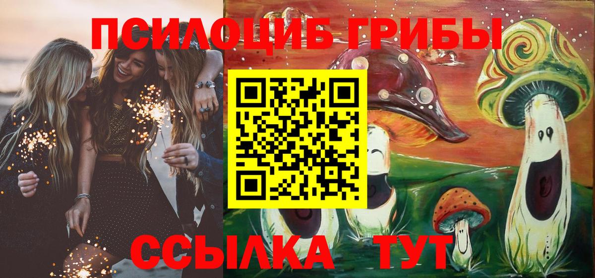 Псилоцибиновые грибы Cubensis Усть-Кут